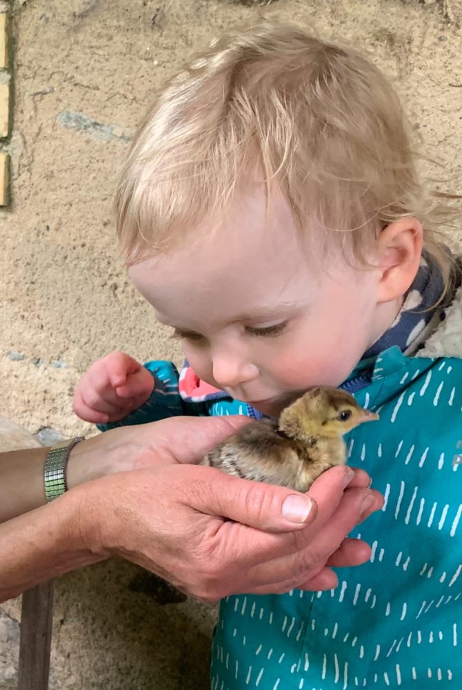 Enfant avec un petit poussin-paon